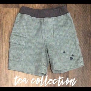 Boy’s Tea Collection Fly Shorts